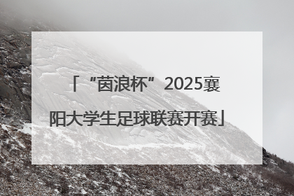 “茵浪杯”2025襄阳大学生足球联赛开赛