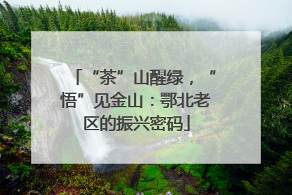 “茶”山醒绿，“悟”见金山：鄂北老区的振兴密码