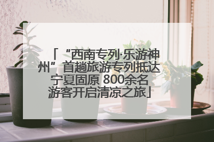 “西南专列·乐游神州”首趟旅游专列抵达宁夏固原 800余名游客开启清凉之旅