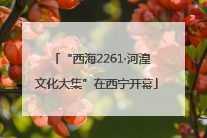 “西海2261·河湟文化大集”在西宁开幕