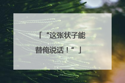 “这张状子能替俺说话！”