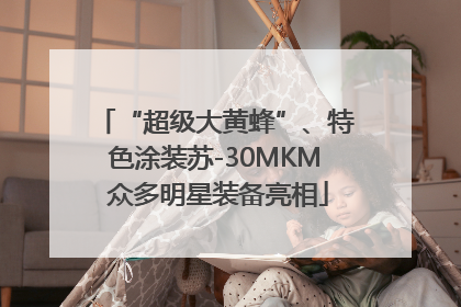 “超级大黄蜂”、特色涂装苏-30MKM 众多明星装备亮相