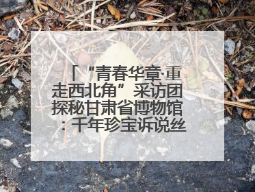 “青春华章·重走西北角”采访团探秘甘肃省博物馆：千年珍宝诉说丝路辉煌