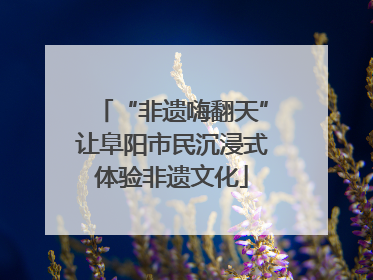 “非遗嗨翻天”让阜阳市民沉浸式体验非遗文化