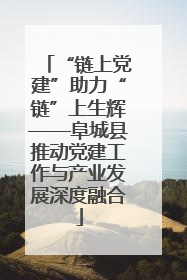 “链上党建”助力“链”上生辉——阜城县推动党建工作与产业发展深度融合