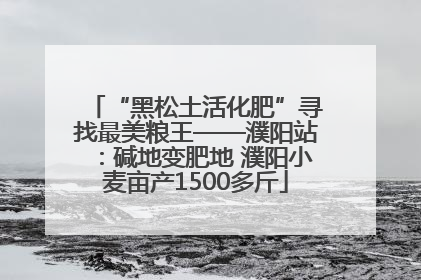 “黑松土活化肥”寻找最美粮王——濮阳站：碱地变肥地 濮阳小麦亩产1500多斤