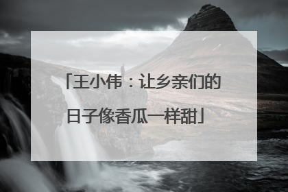 王小伟：让乡亲们的日子像香瓜一样甜