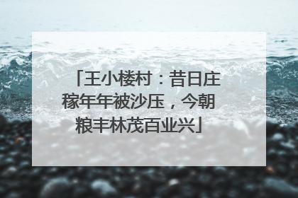 王小楼村：昔日庄稼年年被沙压，今朝粮丰林茂百业兴