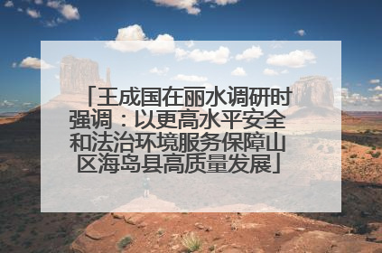 王成国在丽水调研时强调：以更高水平安全和法治环境服务保障山区海岛县高质量发展