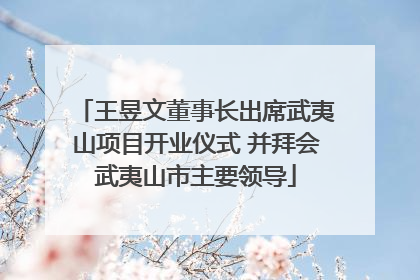 王昱文董事长出席武夷山项目开业仪式 并拜会武夷山市主要领导