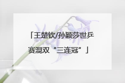 王楚钦/孙颖莎世乒赛混双“三连冠”