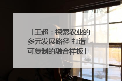王超：探索农业的多元发展路径 打造可复制的融合样板