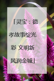 灵宝：德孝故事绽光彩 文明新风润金城