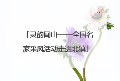 灵韵闾山——全国名家采风活动走进北镇