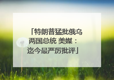 特朗普猛批俄乌两国总统 美媒：迄今最严厉批评