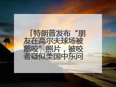 特朗普发布“朋友在高尔夫球场被鹅咬”照片，被咬者疑似美国中东问题特使