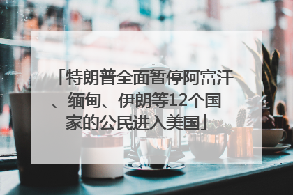 特朗普全面暂停阿富汗、缅甸、伊朗等12个国家的公民进入美国