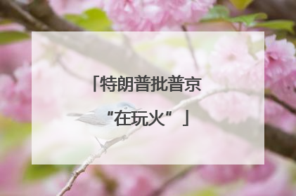 特朗普批普京“在玩火”