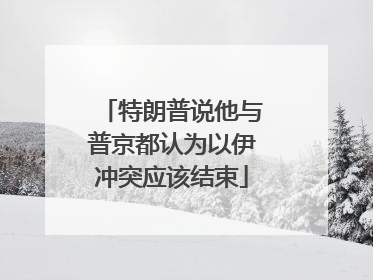 特朗普说他与普京都认为以伊冲突应该结束