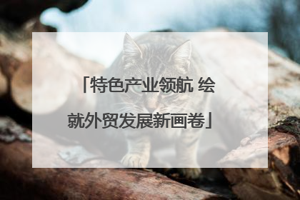 特色产业领航 绘就外贸发展新画卷