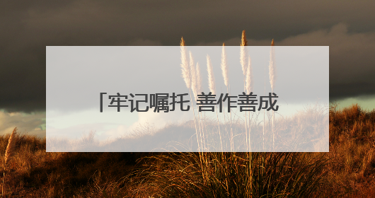 牢记嘱托 善作善成｜高新区华苑片区擦亮科创“金名片”