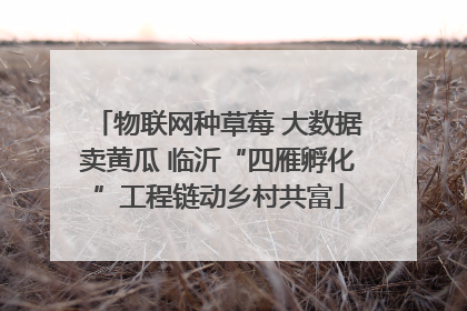 物联网种草莓 大数据卖黄瓜 临沂“四雁孵化”工程链动乡村共富