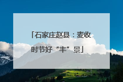 石家庄赵县：麦收时节好“丰”景