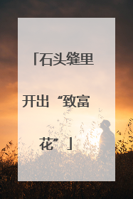石头缝里开出“致富花”