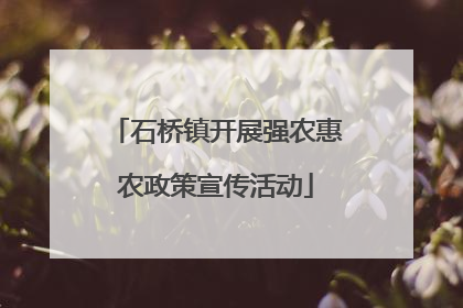 石桥镇开展强农惠农政策宣传活动