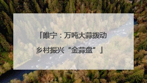睢宁：万吨大蒜拨动乡村振兴“金蒜盘”