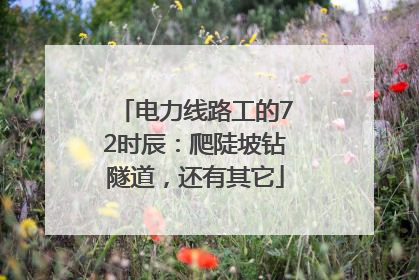 电力线路工的72时辰：爬陡坡钻隧道，还有其它