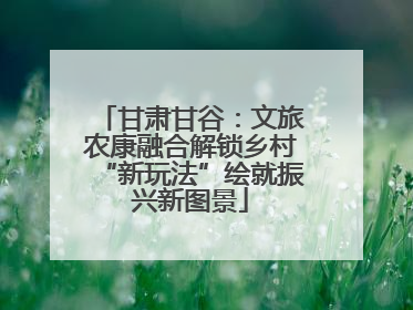 甘肃甘谷：文旅农康融合解锁乡村“新玩法”绘就振兴新图景