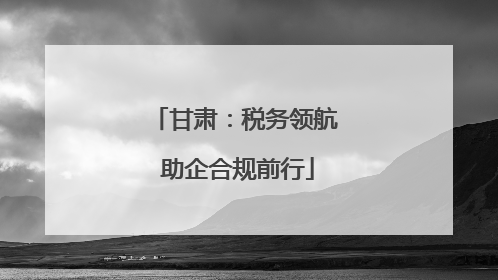 甘肃：税务领航 助企合规前行