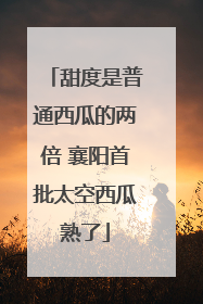 甜度是普通西瓜的两倍 襄阳首批太空西瓜熟了