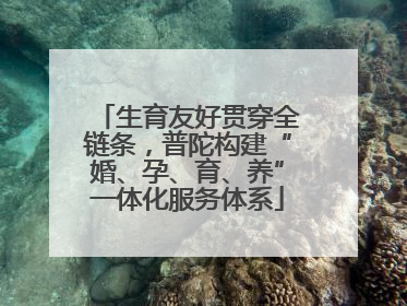 生育友好贯穿全链条，普陀构建“婚、孕、育、养”一体化服务体系