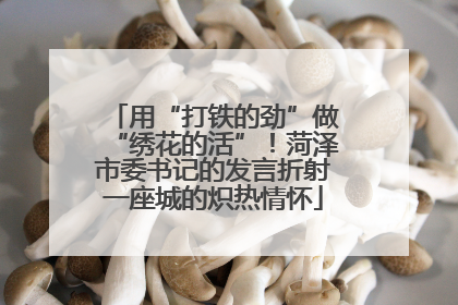 用“打铁的劲”做“绣花的活”！菏泽市委书记的发言折射一座城的炽热情怀