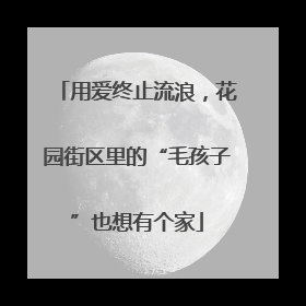 用爱终止流浪，花园街区里的“毛孩子”也想有个家