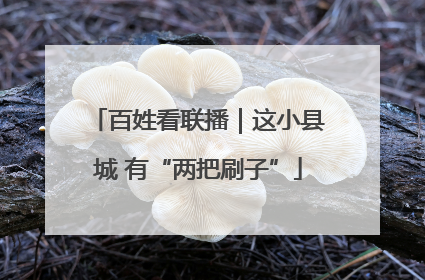 百姓看联播｜这小县城 有“两把刷子”
