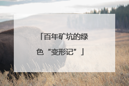百年矿坑的绿色“变形记”