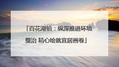 百花湖镇：纵深推进环境整治 精心绘就宜居画卷