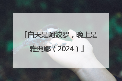 白天是阿波罗，晚上是雅典娜（2024）