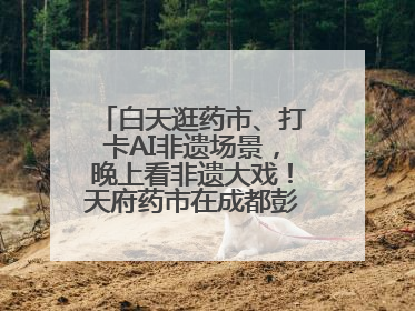 白天逛药市、打卡AI非遗场景，晚上看非遗大戏！天府药市在成都彭州开幕