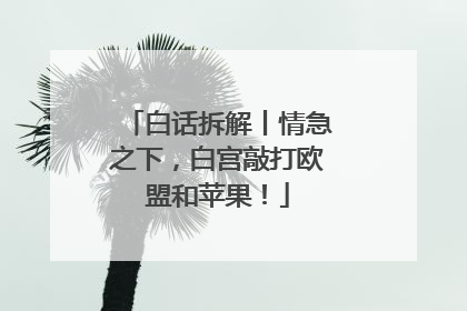 白话拆解丨情急之下，白宫敲打欧盟和苹果！