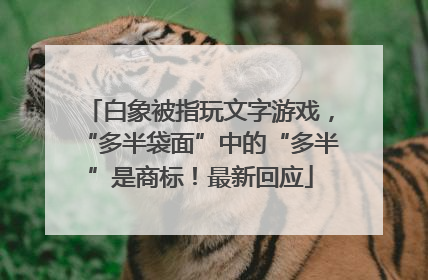 白象被指玩文字游戏，“多半袋面”中的“多半”是商标！最新回应