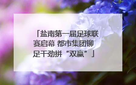 盐南第一届足球联赛启幕 都市集团铆足干劲拼“双赢”