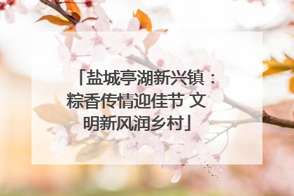 盐城亭湖新兴镇：粽香传情迎佳节 文明新风润乡村
