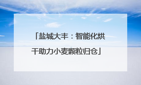 盐城大丰：智能化烘干助力小麦颗粒归仓