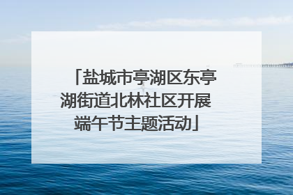 盐城市亭湖区东亭湖街道北林社区开展端午节主题活动