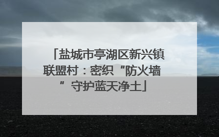 盐城市亭湖区新兴镇联盟村：密织“防火墙”守护蓝天净土