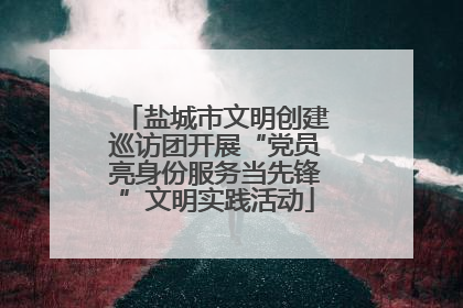 盐城市文明创建巡访团开展“党员亮身份服务当先锋”文明实践活动